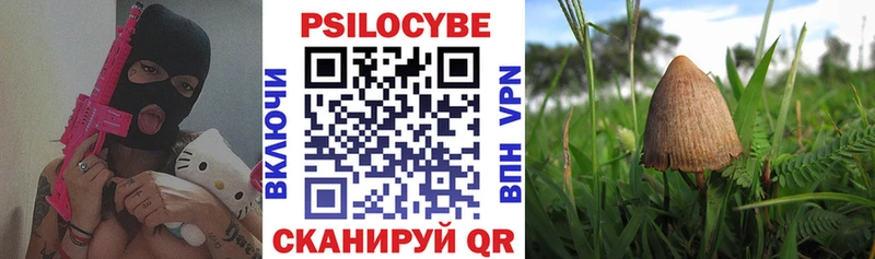Галлюциногенные грибы ЛСД  блэк спрут сайт  Махачкала 